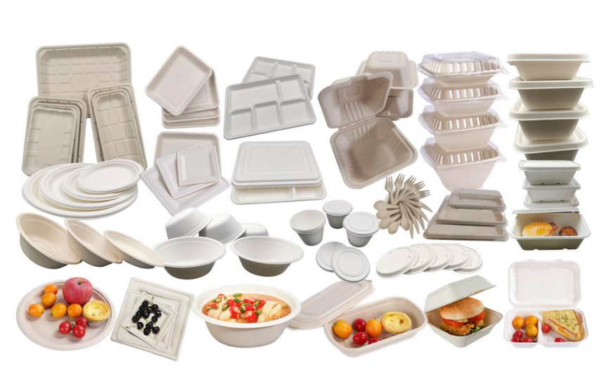 Bagasse products – ECOSELECTED